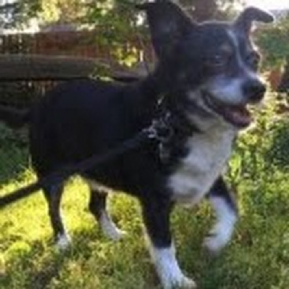 Meet your Posher, Hozumi